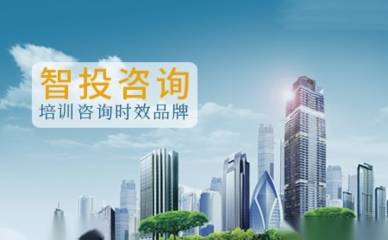 智投咨询管理咨询公司标志logo设计,品牌设计vi策划